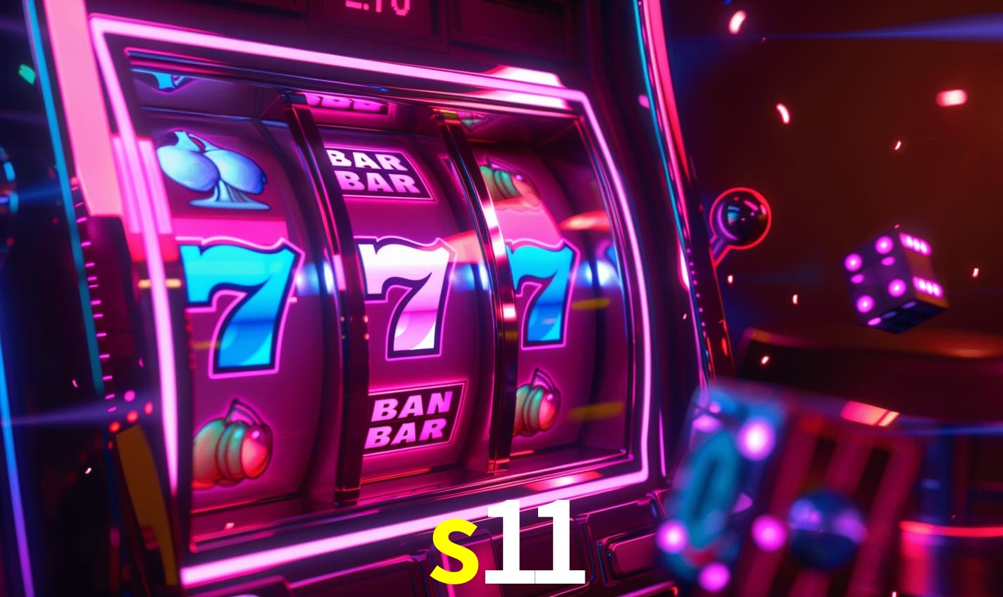 s11
